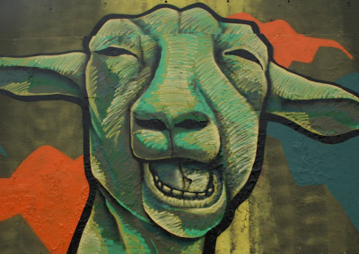 t shirt art lama detail